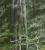 _A003384cr.jpg